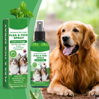 🔥AANBIEDING｜Natuurlijke anti-vlooienspray voor katten en honden, kalmeert jeuk🐾