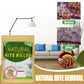 🏠✨ Onmisbaar in elk huishouden 💥 Vanaf €0,76/stuk! 🌿 Natuurlijke Mijtwerende Zakjes – Fris & Comfortabel Huis
