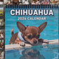 😸🐶🐣Kalender met grappige dieren 2026
