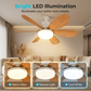 💡2026 HOT SALE🔥-50%✨ Plafondventilator met LED 💨 Koel & eenvoudig te installeren