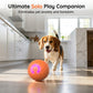 🥳 50K+ VERKOCHT🐶🐱 Slimme Speelbal 🐾 Houdt je huisdier actief & voorkomt verveling