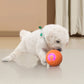 🥳 50K+ VERKOCHT🐶🐱 Slimme Speelbal 🐾 Houdt je huisdier actief & voorkomt verveling