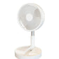 🌬️❄️Draagbare multifunctionele telescopische vloerventilator – Blijf overal koel✨