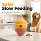 🐶 50% KORTING 🦴 Interactief Hondenspeeltje – Minder verveling & rustig eten 🐾 ✨