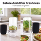 🔥 TOP DEAL 🌿 Glazen Kiemkweekpot | Gezond & Vers